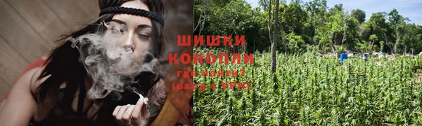трава Алексин