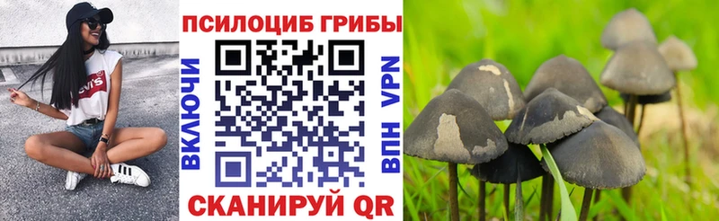 Псилоцибиновые грибы прущие грибы  Сенгилей 